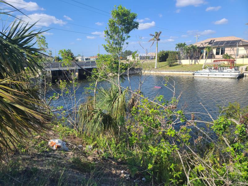 Duplex, Triplex and Fourplex Images