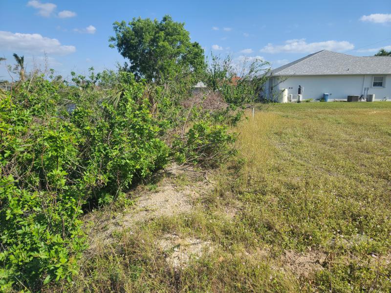 Duplex, Triplex and Fourplex Images