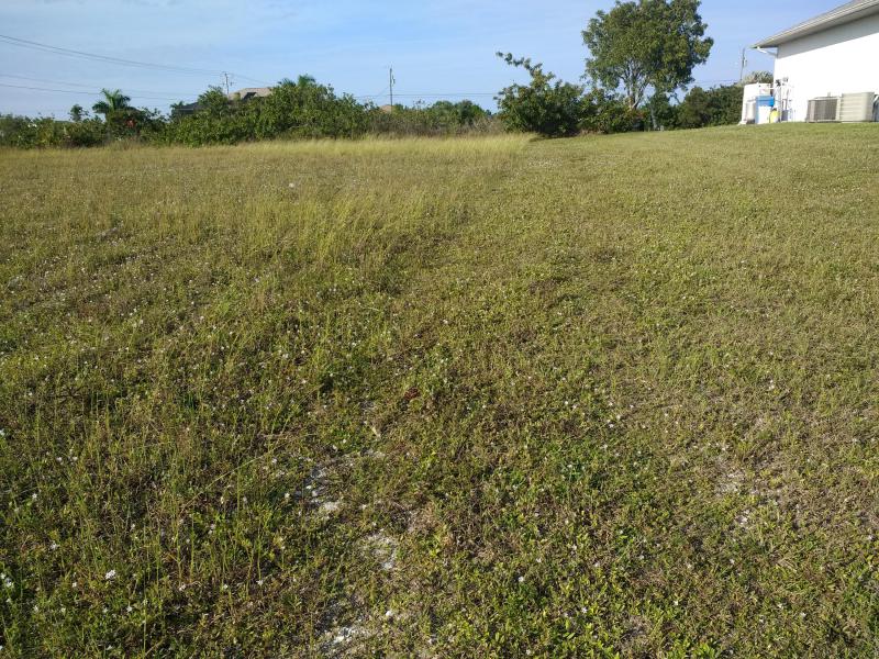 Duplex, Triplex and Fourplex Images