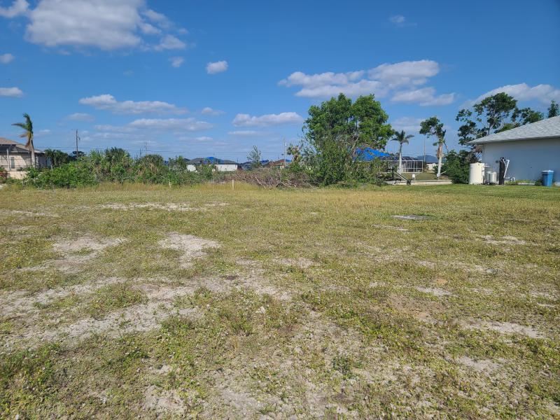 Duplex, Triplex and Fourplex Images