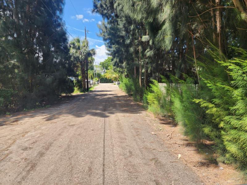 Duplex, Triplex and Fourplex Images