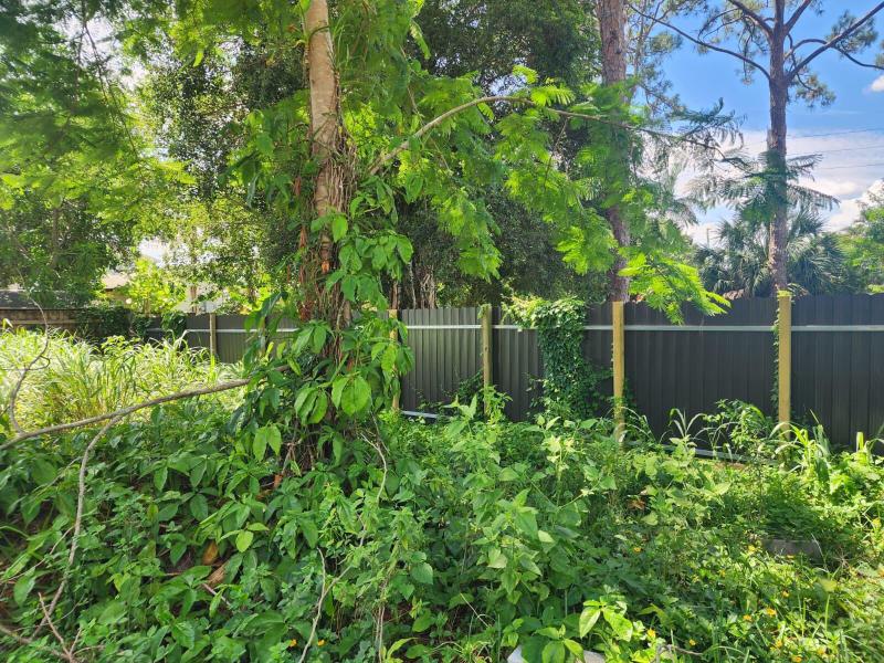 Duplex, Triplex and Fourplex Images