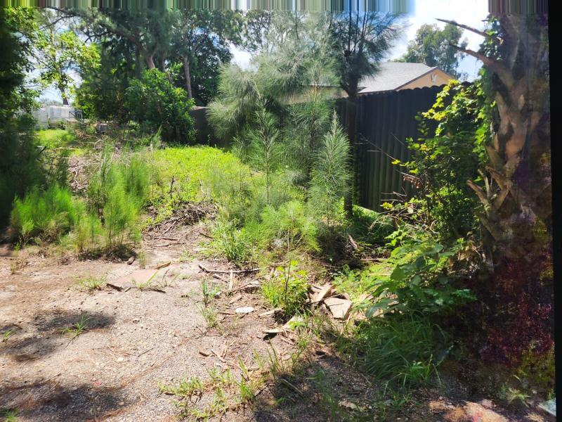 Duplex, Triplex and Fourplex Images