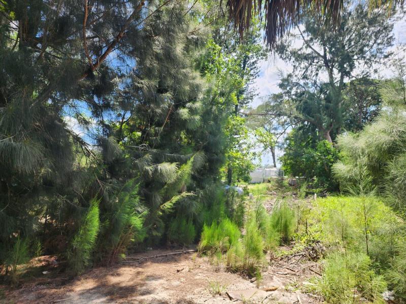 Duplex, Triplex and Fourplex Images