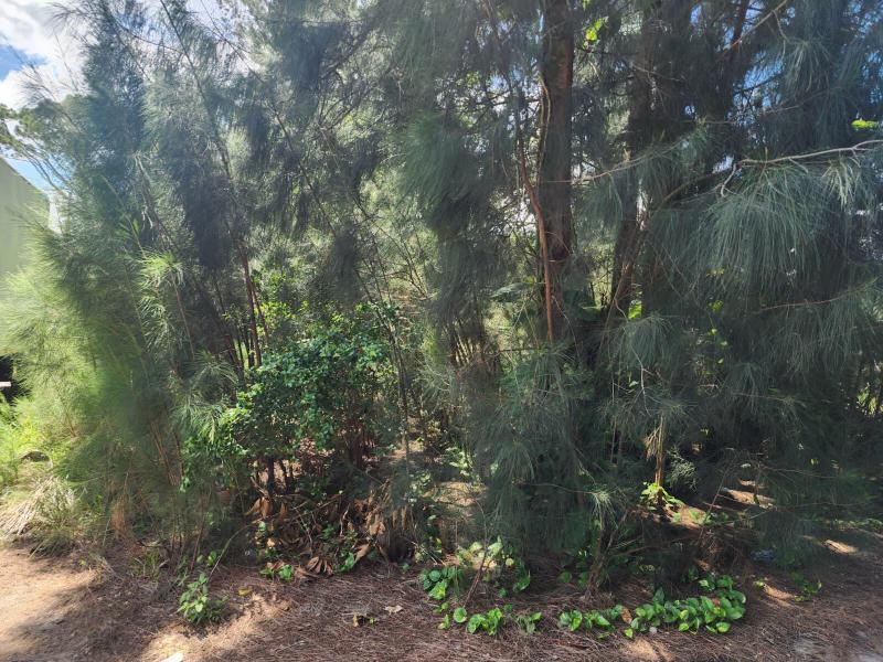 Duplex, Triplex and Fourplex Images